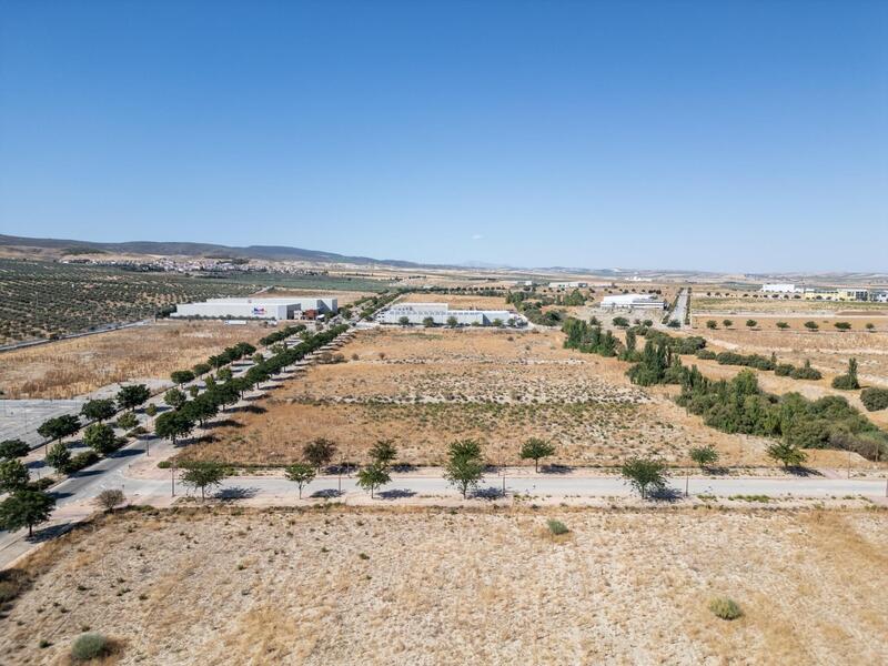 Land for sale