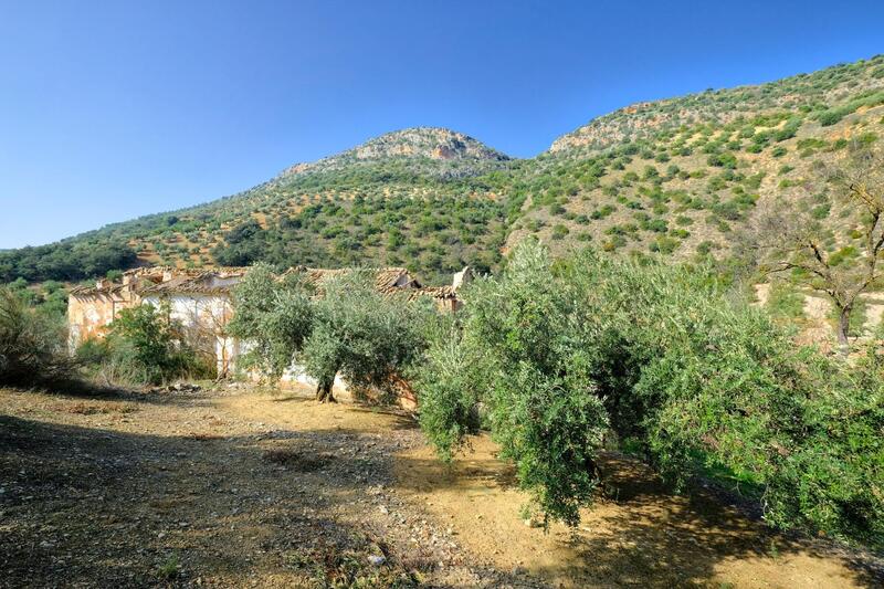 Auberge à vendre
