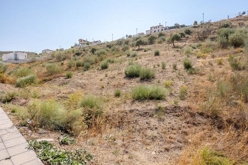 Terrenos en venta