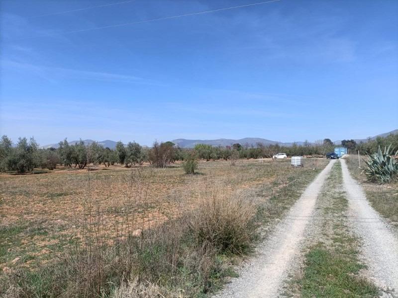 Auberge à vendre