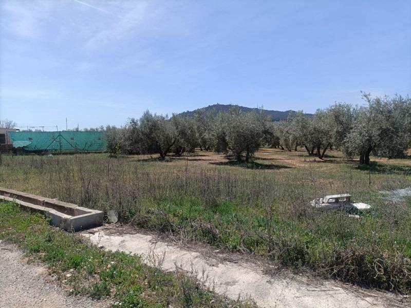 Auberge à vendre