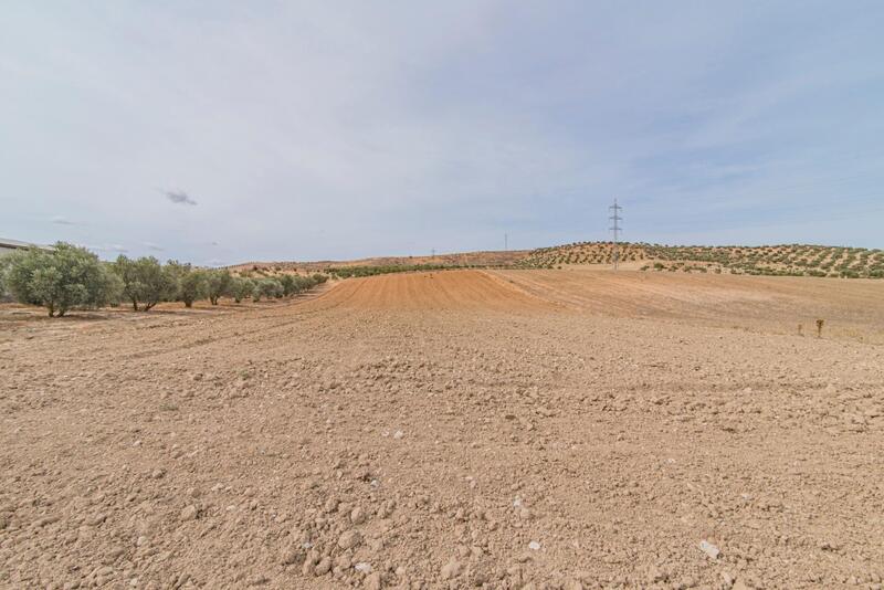 Country House for sale in La Malaha, Granada