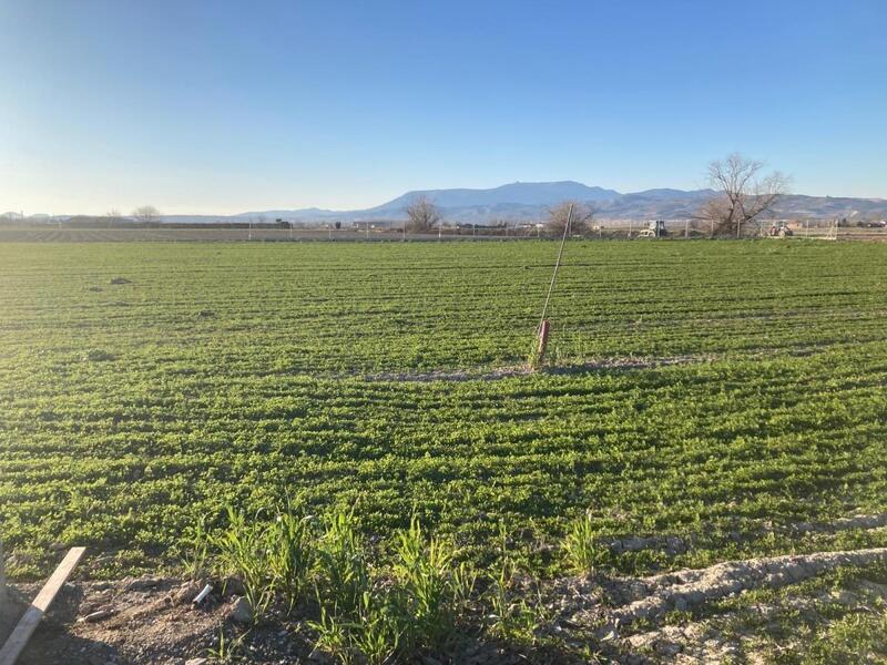 Country House for sale