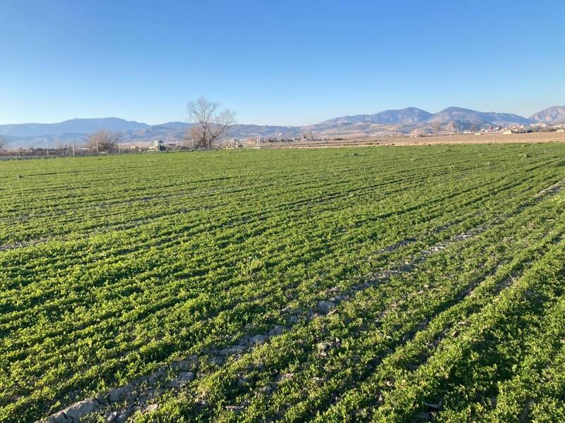 Country House for sale