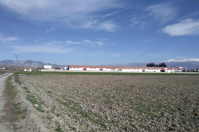 Herregård til salgs