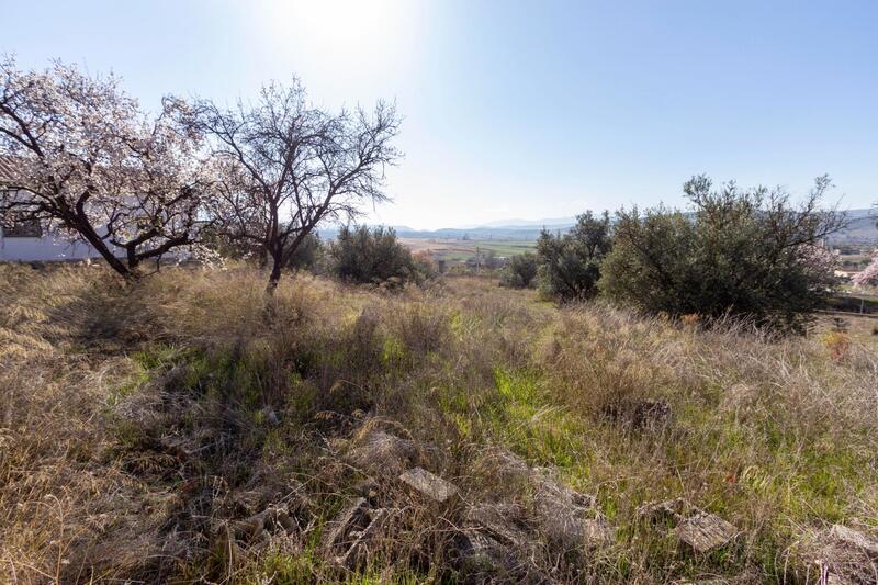 Terrain à vendre