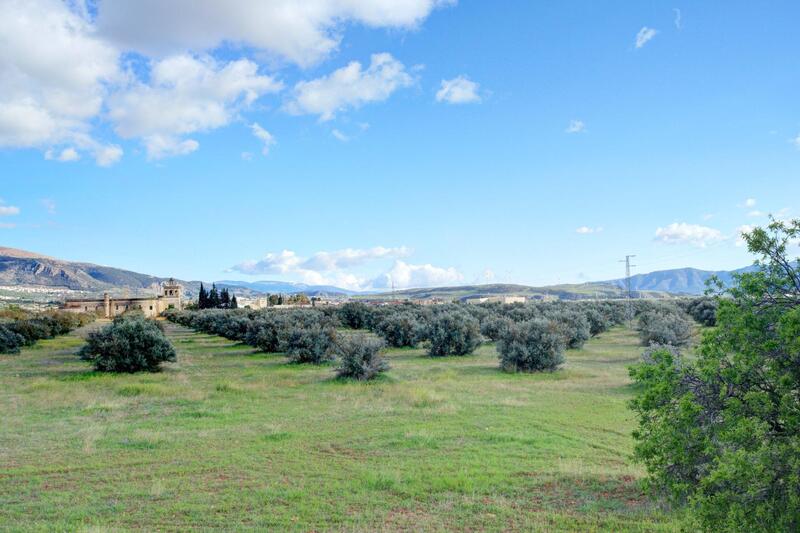 Terrain à vendre