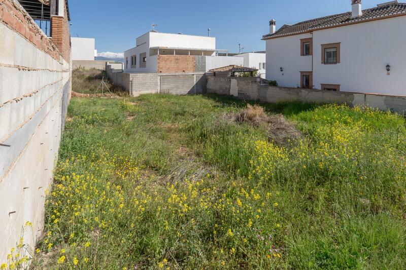Land for sale