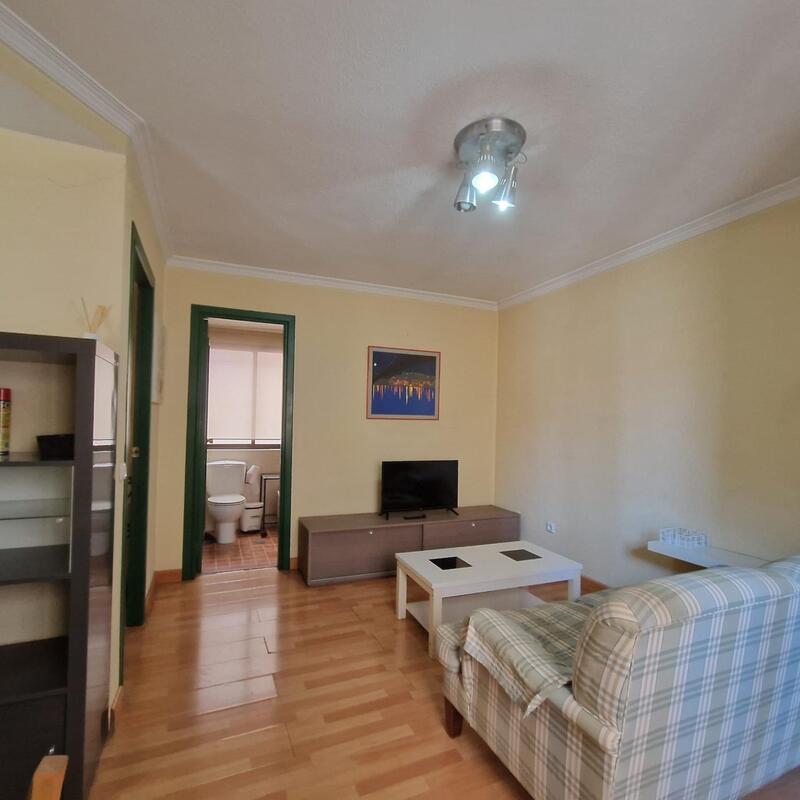 1 chambre Appartement à louer à long terme