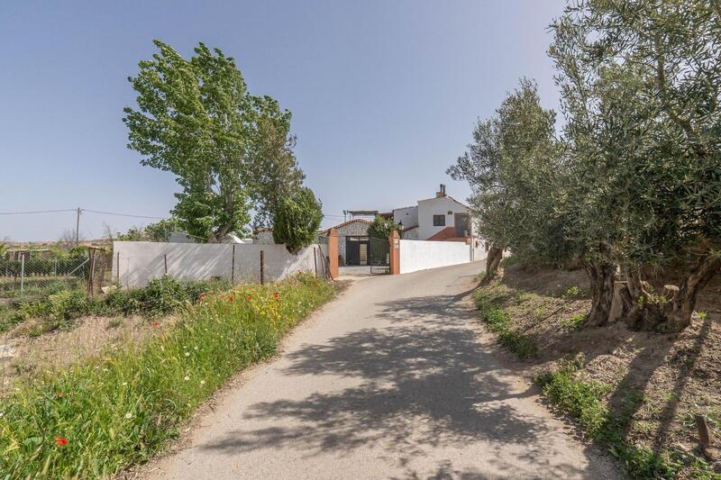 5 chambre Villa à vendre