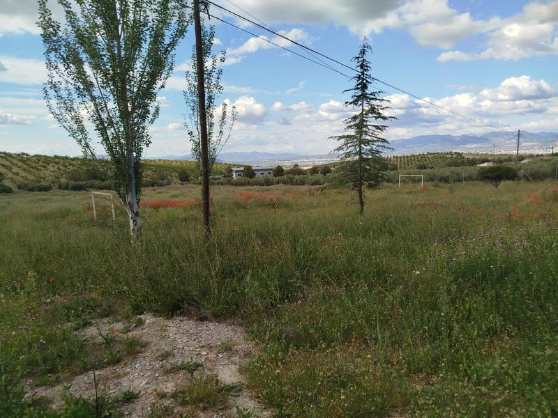 Auberge à vendre