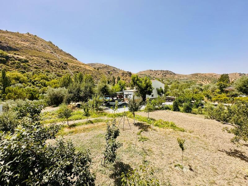 5 Cuarto Casa de Campo en venta