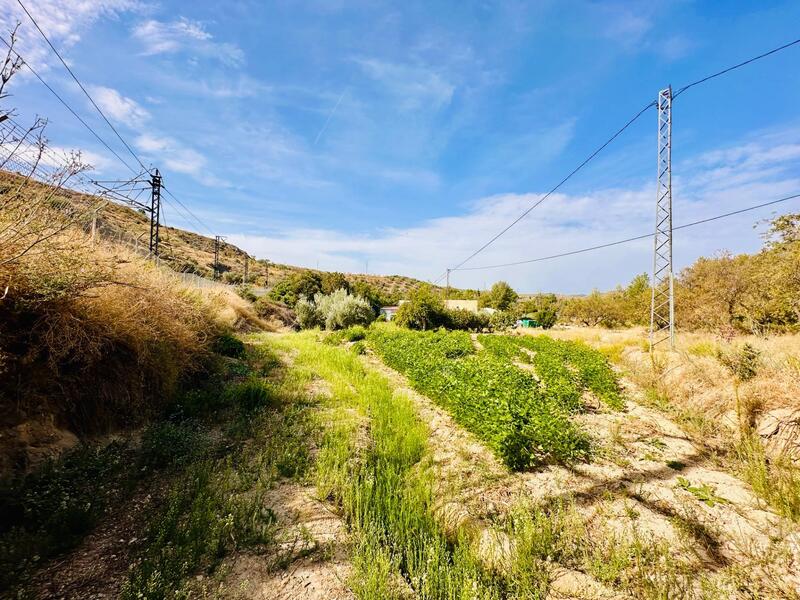 3 bedroom Country House for sale