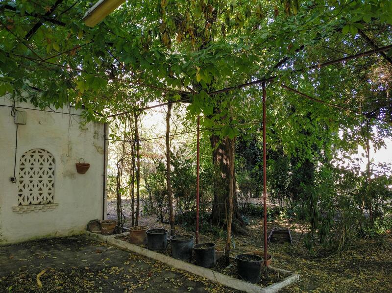 13 bedroom Land for sale