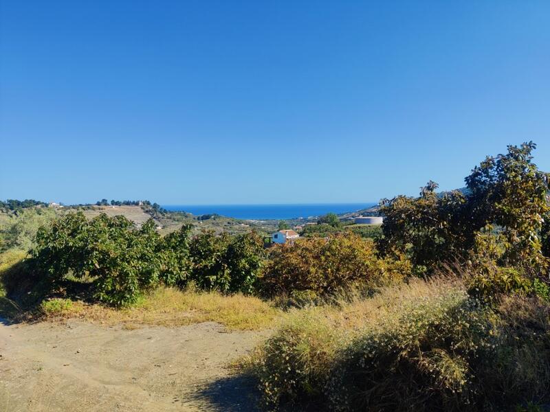 Land for sale in Frigiliana, Málaga