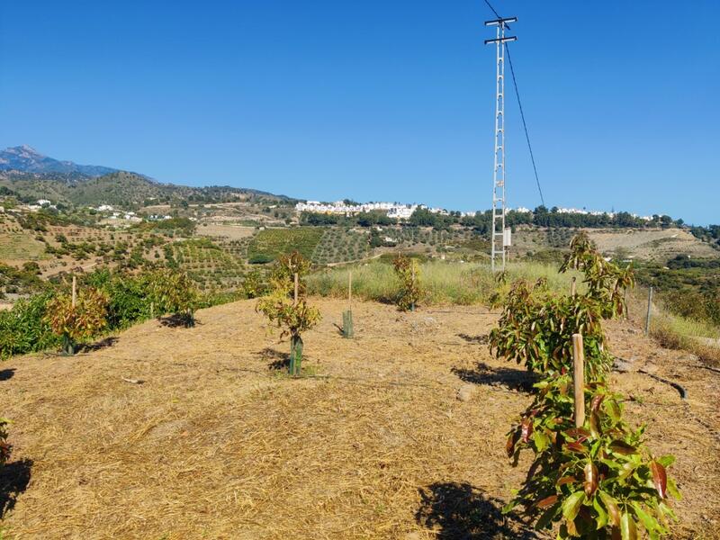 Land for sale