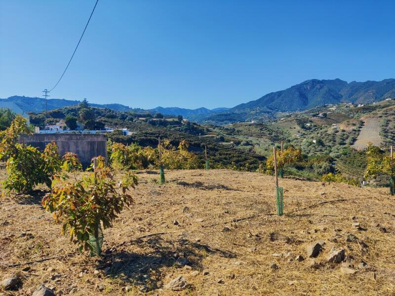 Land for sale