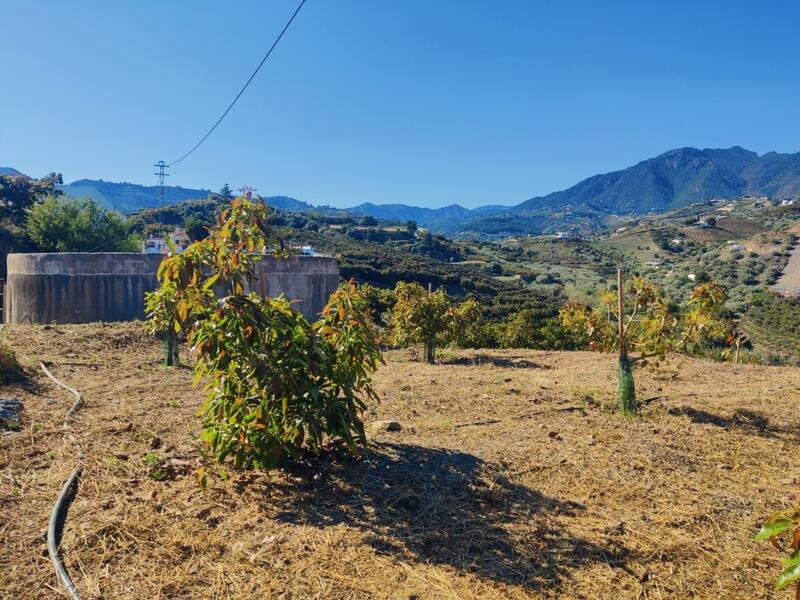 Land for sale