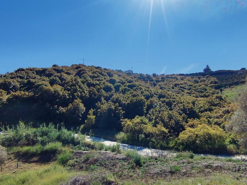 Terrenos en venta