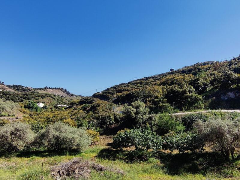 Terrenos en venta