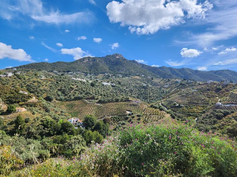 1 bedroom Country House for sale