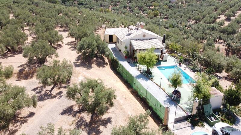 Lantställe till salu i Pozo Alcon, Jaén