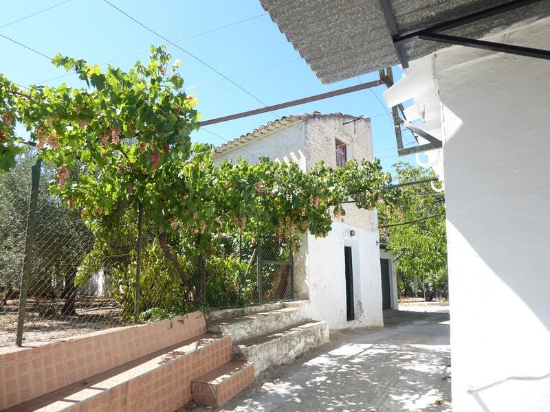 3 Cuarto Casa de Campo en venta