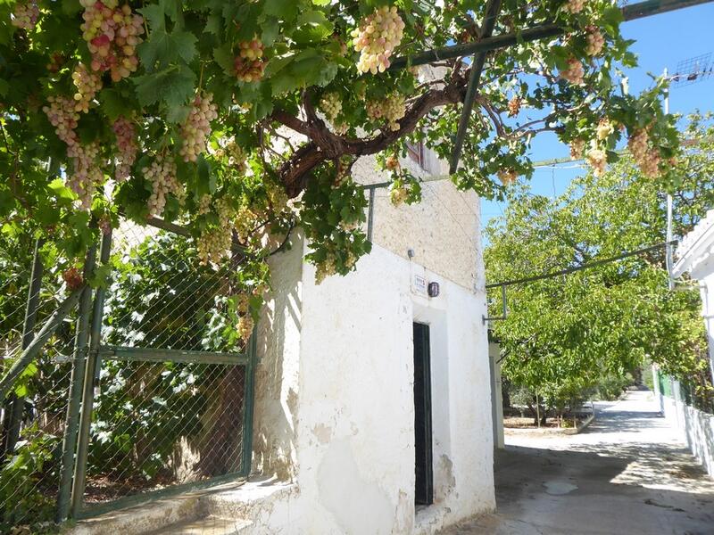 3 Cuarto Casa de Campo en venta
