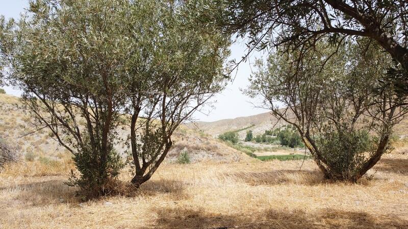 2 bedroom Country House for sale