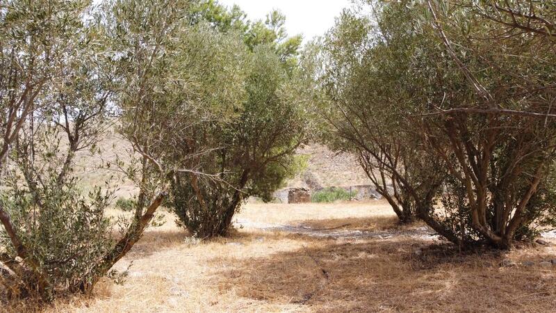 2 bedroom Country House for sale