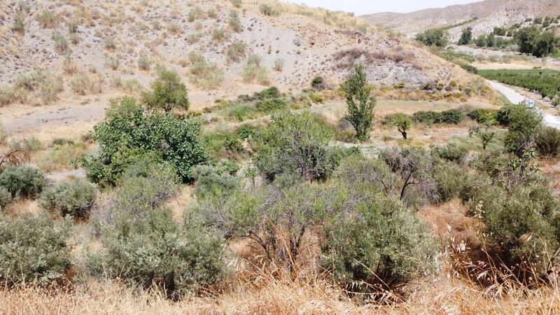 2 bedroom Country House for sale