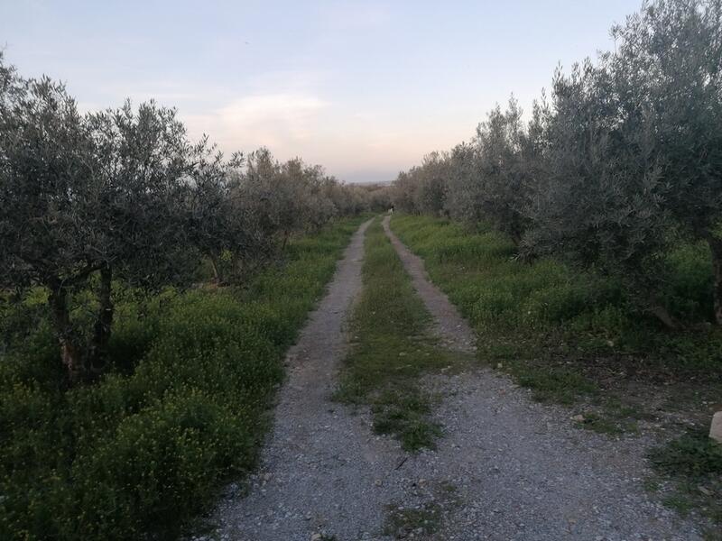 3 bedroom Country House for sale