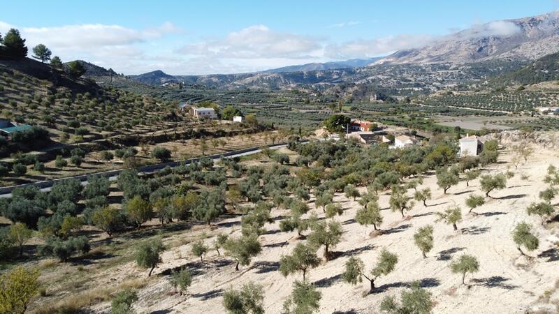 3 bedroom Country House for sale 3 bedroom Country House for sale