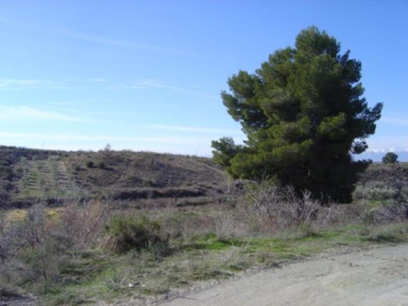 4 bedroom Cave House for sale 4 bedroom Cave House for sale