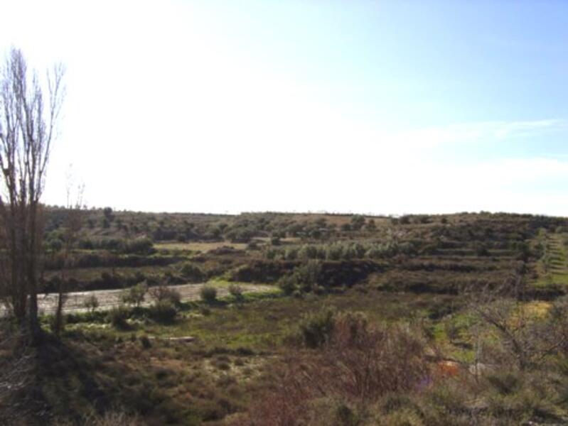 4 bedroom Cave House for sale 4 bedroom Cave House for sale