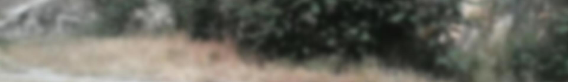 4 спальная комната Деревенский Дом продается