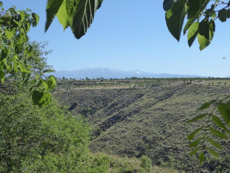 6 bedroom Cave House for sale 6 bedroom Cave House for sale