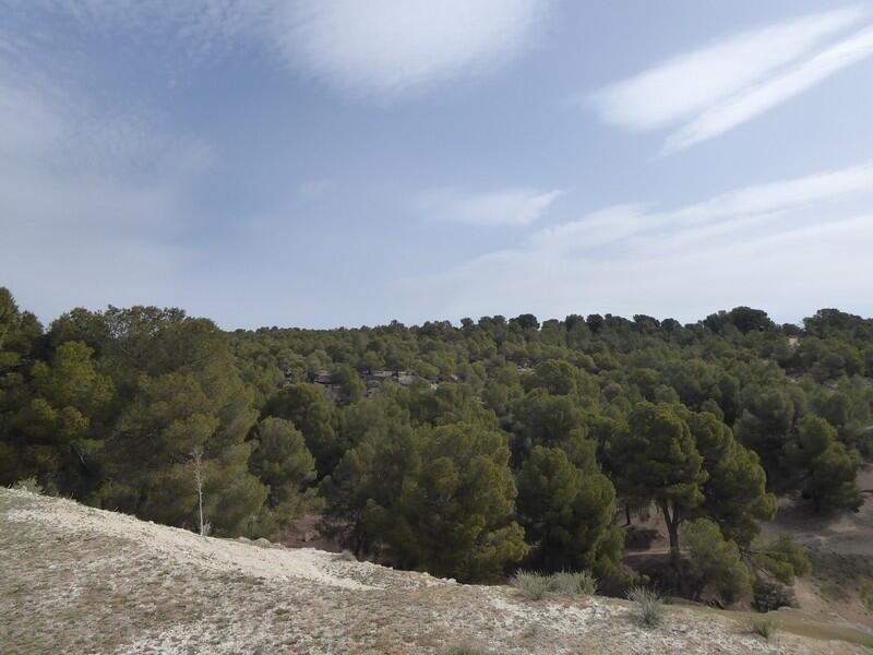 8 slaapkamer Landhuis Te koop