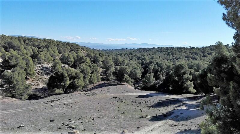 8 slaapkamer Landhuis Te koop