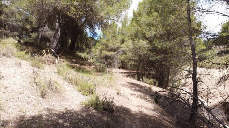 8 slaapkamer Landhuis Te koop