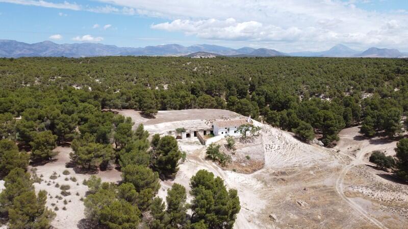 8 slaapkamer Landhuis Te koop