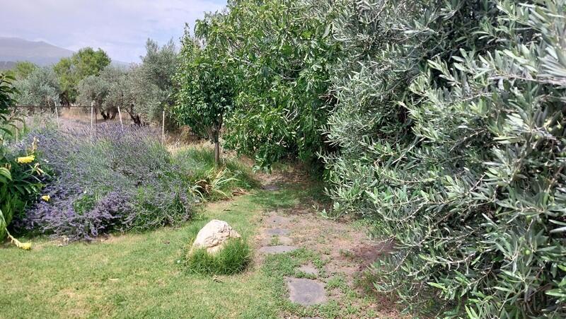 3 bedroom Country House for sale 3 bedroom Country House for sale