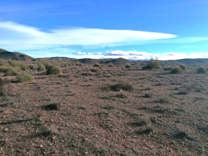 Country House for sale Country House for sale