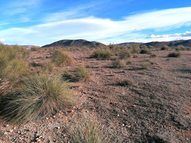 Country House for sale Country House for sale