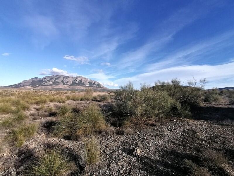 Country House for sale Country House for sale