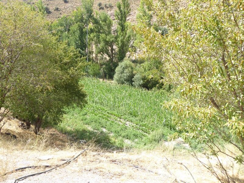 6 bedroom Country House for sale