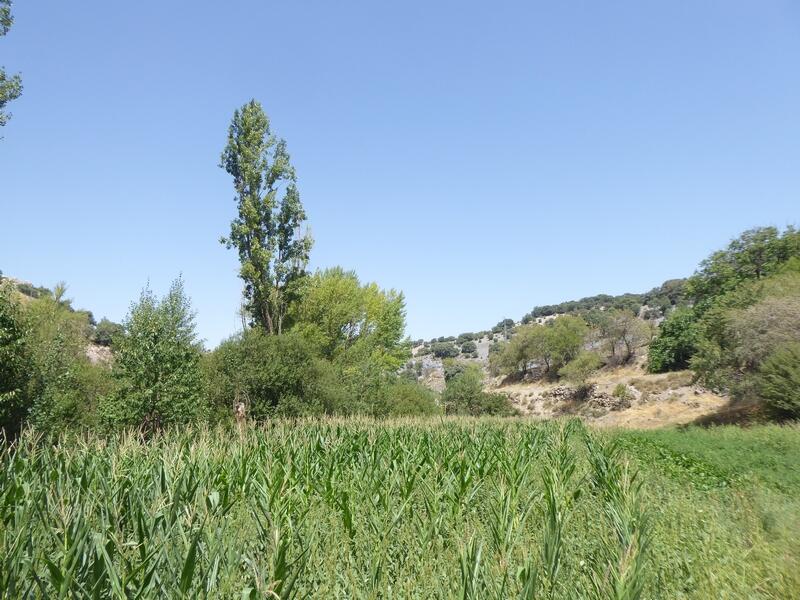 6 bedroom Country House for sale