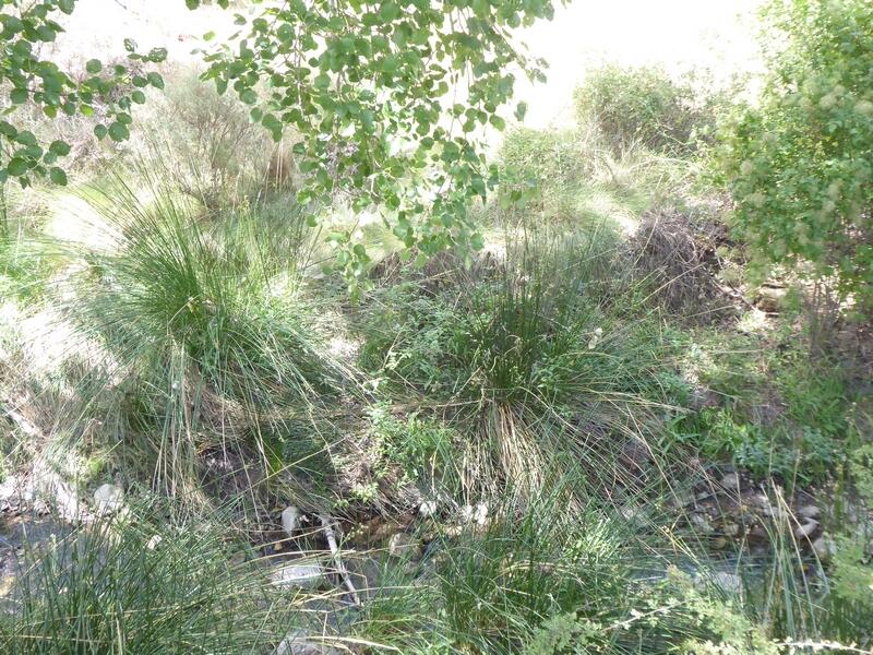 6 bedroom Country House for sale