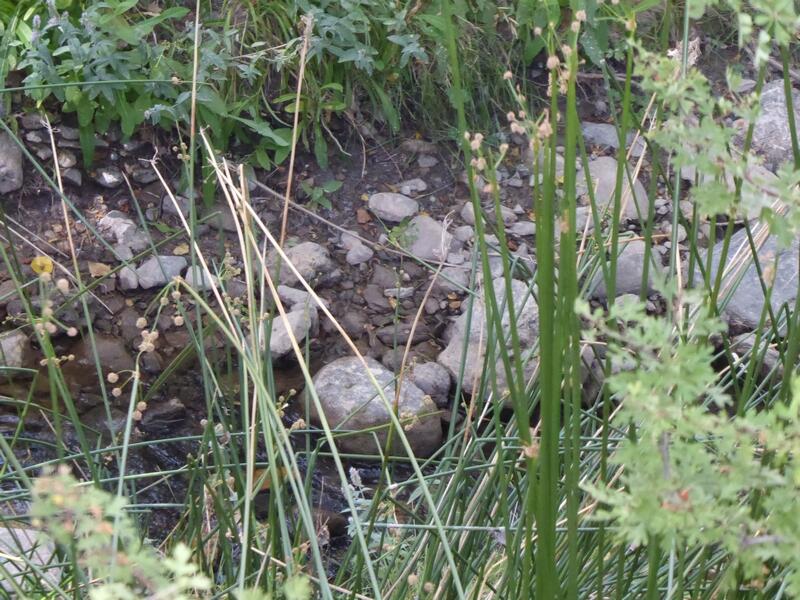 6 bedroom Country House for sale