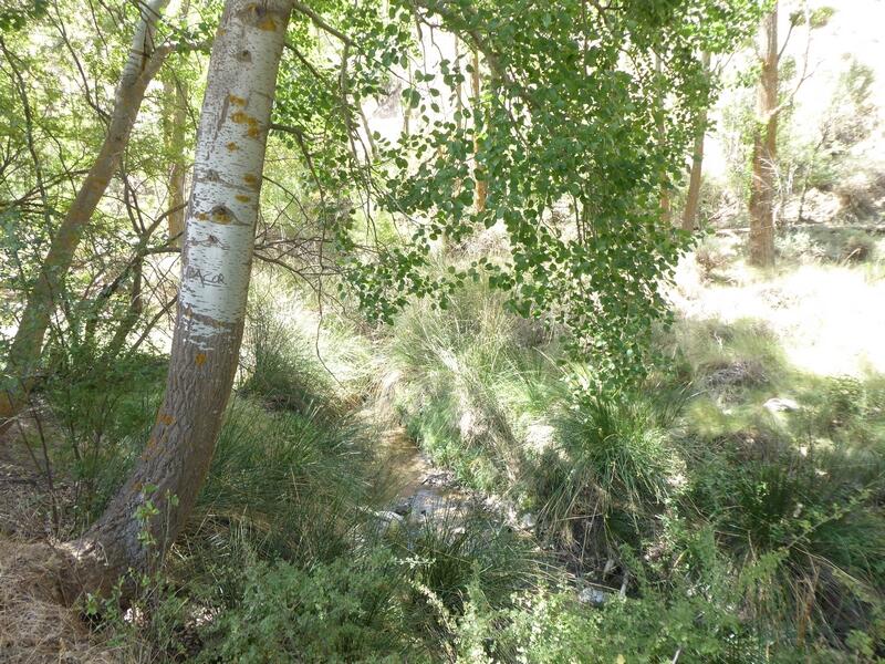 6 bedroom Country House for sale